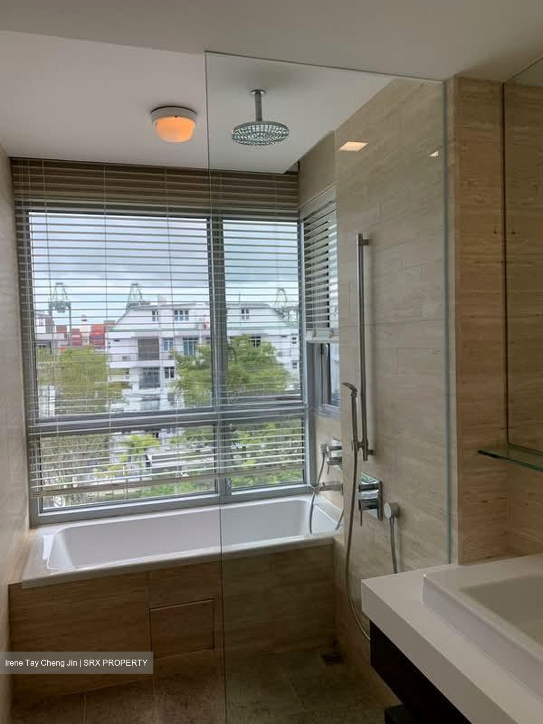 Horizon Residences (D5), Condominium #586142161